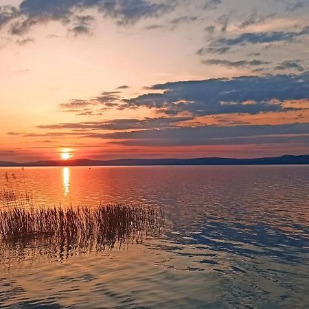 Sunshine 208 Apartman Balatonszarszo Zewnętrze zdjęcie